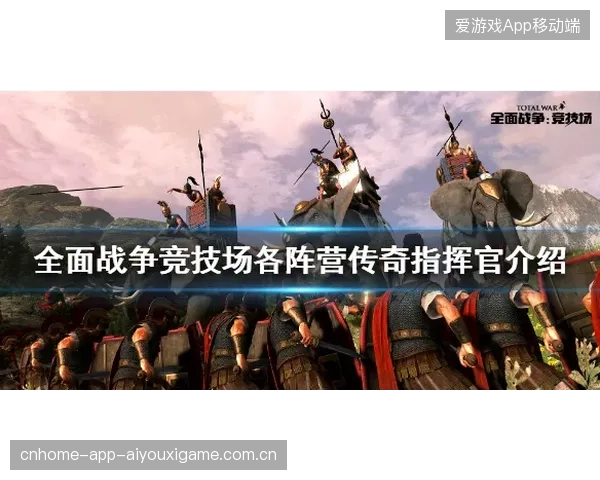 金琴英四比零横扫舒麟茜：从“逆袭”到“传奇”的不凡之路